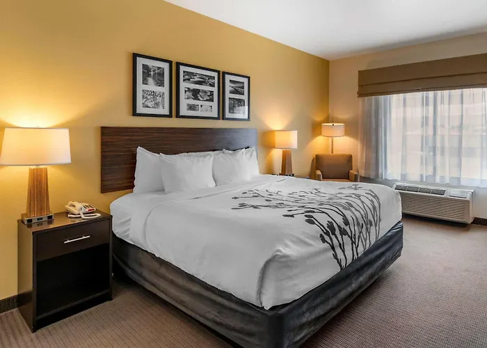 Sleep Inn&Suites Miles City
